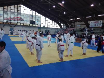 judo 01
