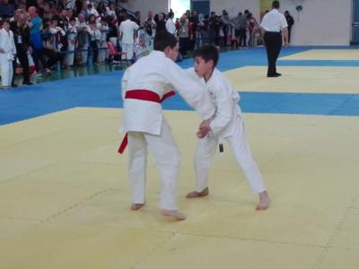 judo 03