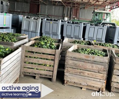 2022 active aging 4 polonia 13